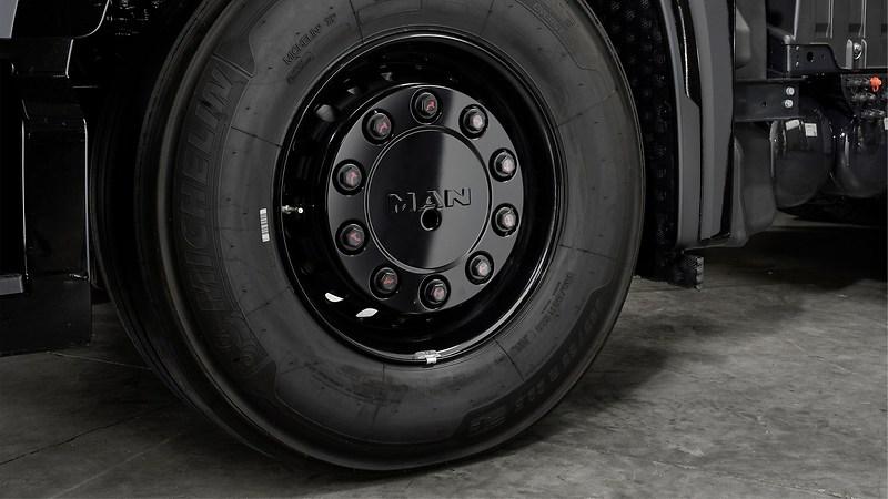 Sunblind with Individual Lion S lettering